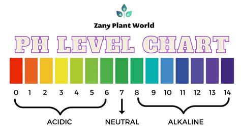 phbet ph|ph level chart.